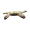 Turtle Decorative Bowl by Ashland®